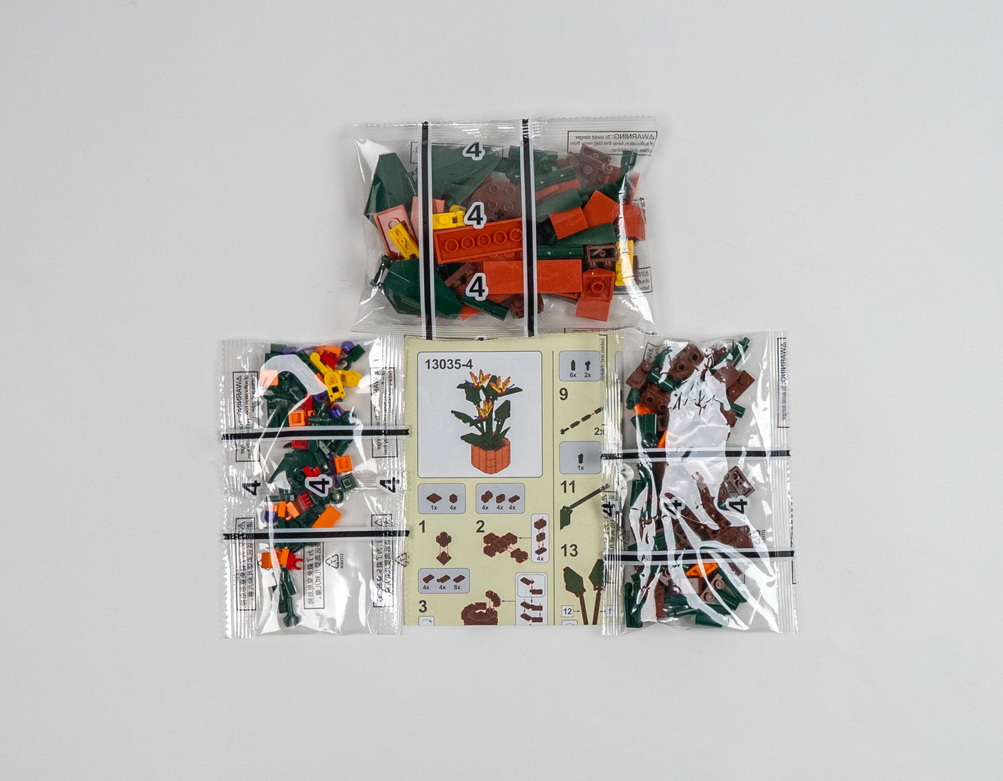 Flower Series Iris Japonica Thunb