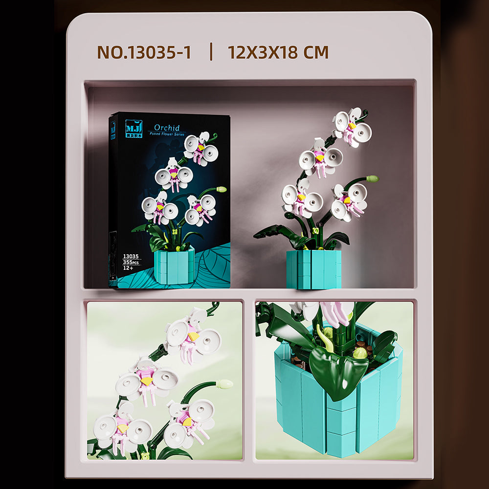 Flower Series Orchid