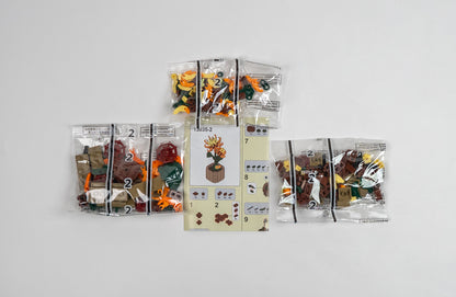 Flower Series Chrysanthemum