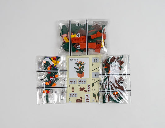 Flower Series Iris Japonica Thunb set completo con caja