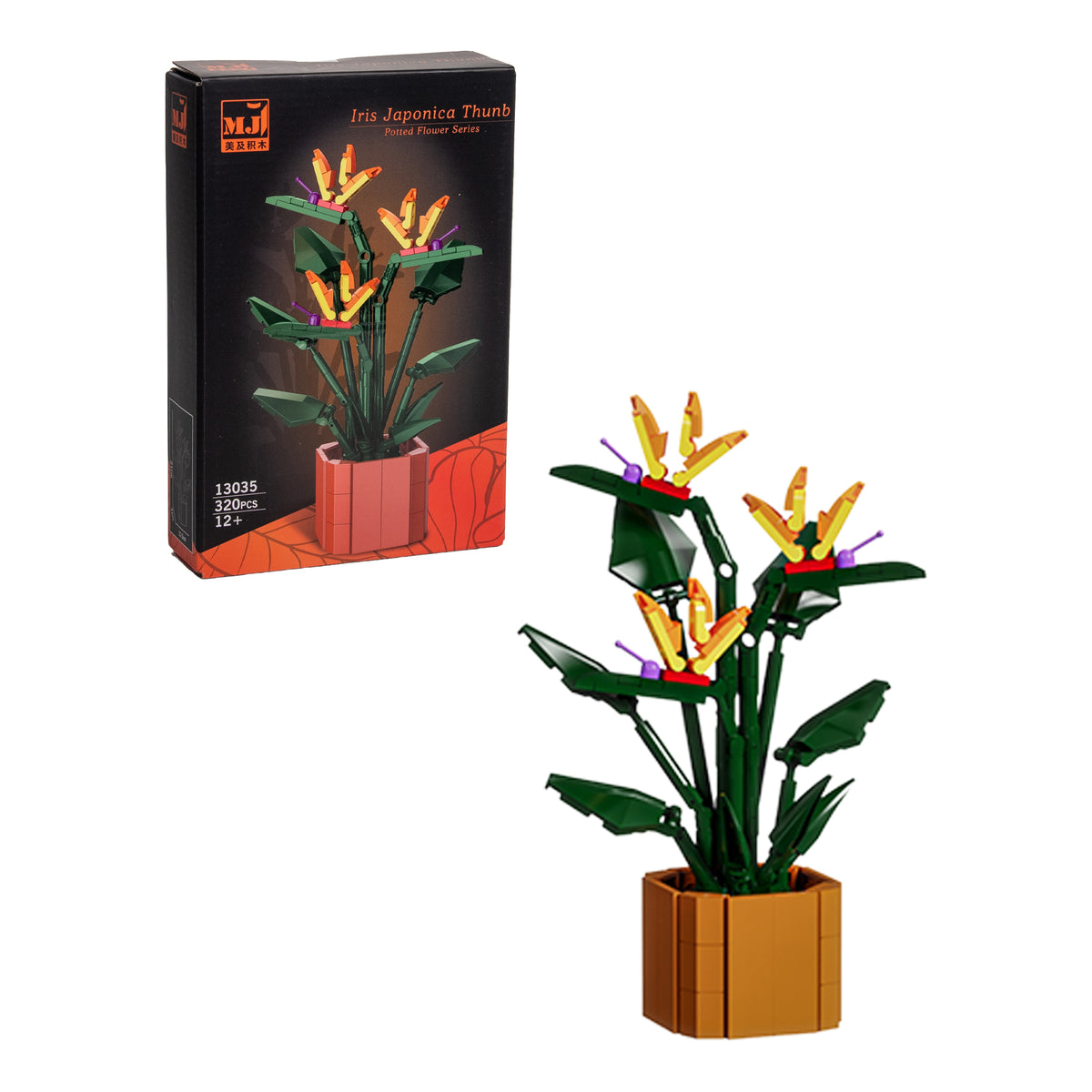 Iris Japonés — Bloques BloomBlock