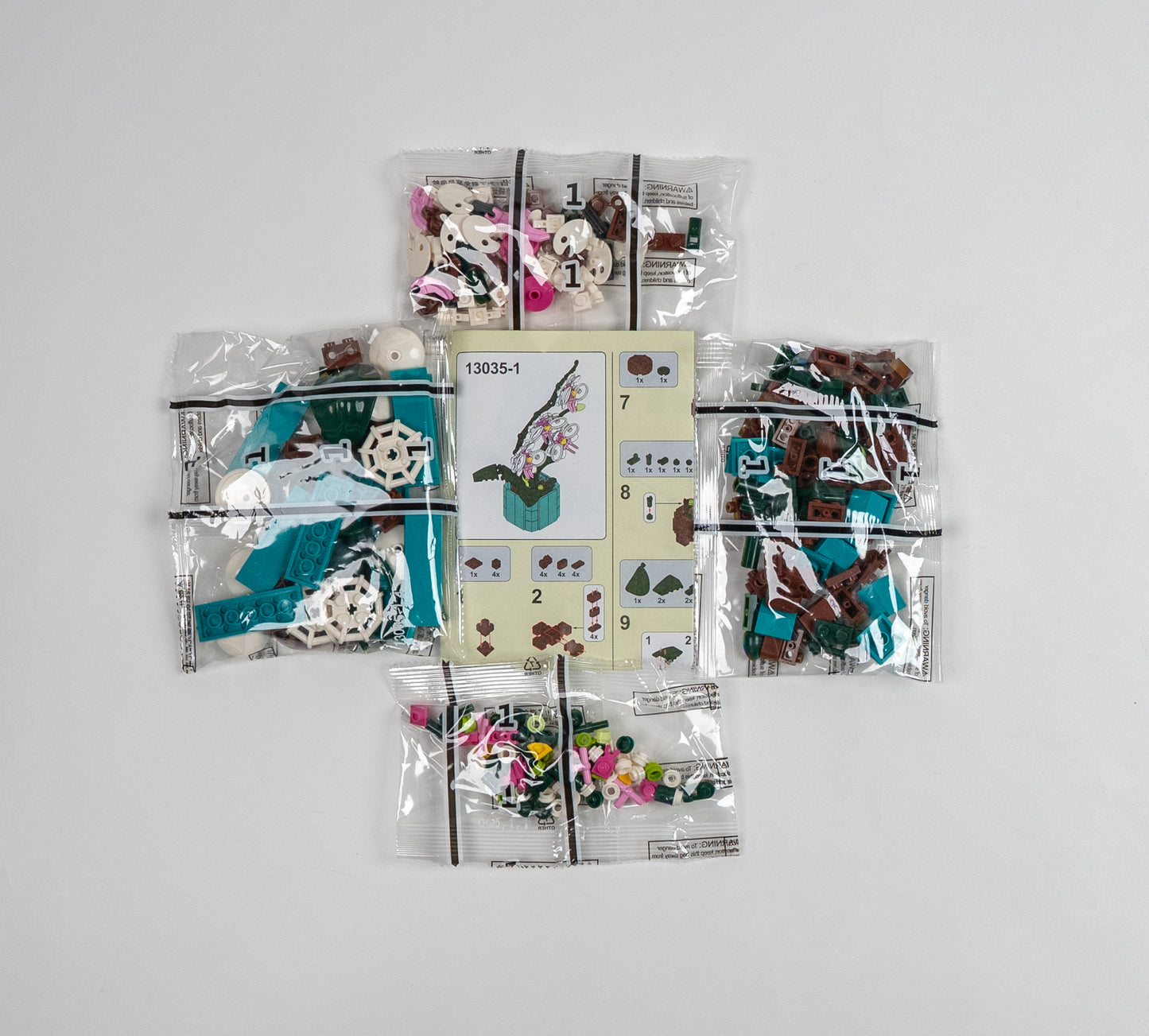 Flower Series Orchid