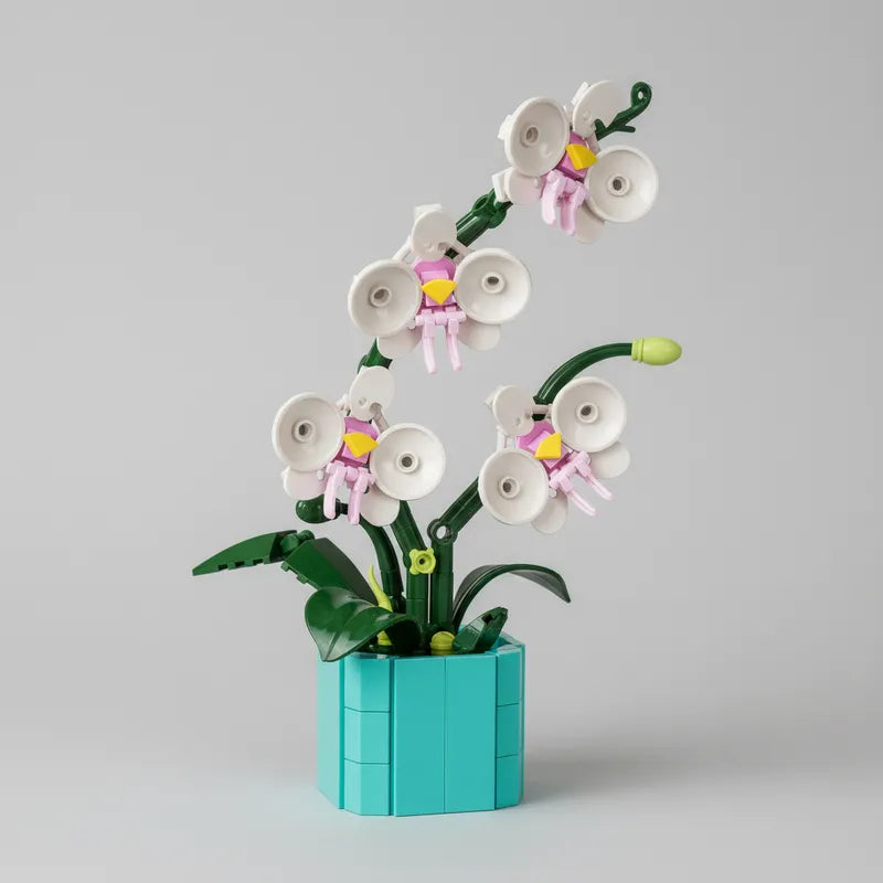 Flower Series Orchid