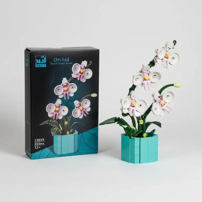 Flower Series Orchid