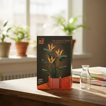 Flower Series Iris Japonica Thunb