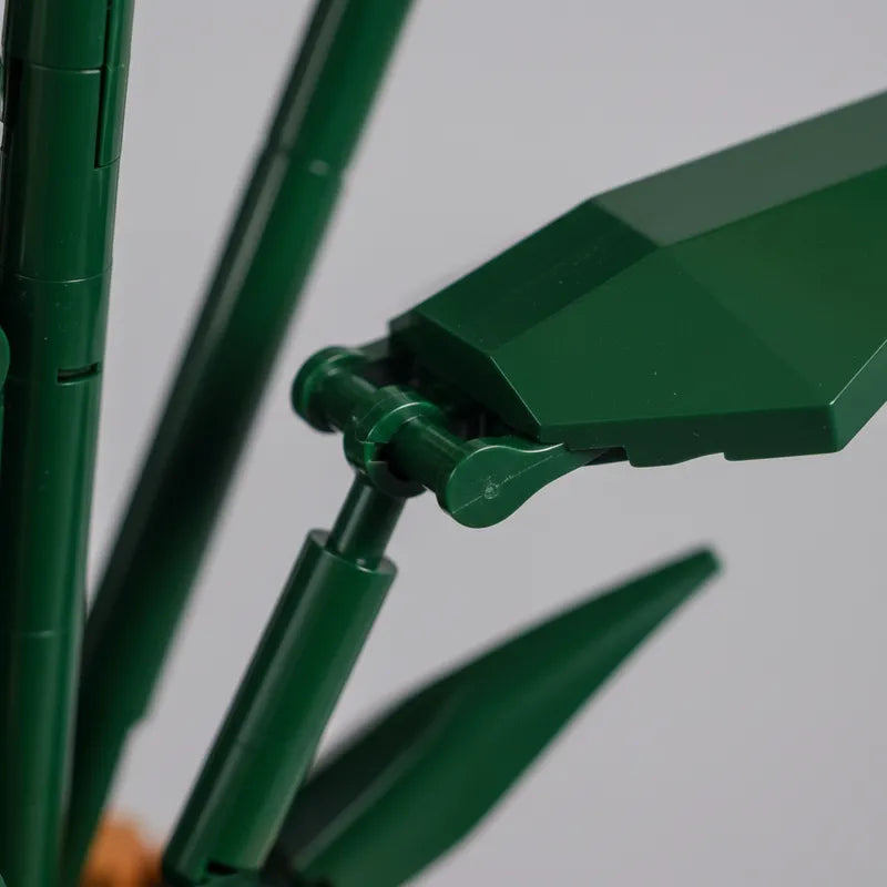 Flower Series Iris Japonica Thunb