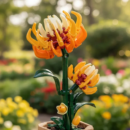 Flower Series Chrysanthemum